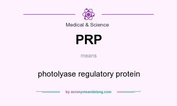What does PRP mean? It stands for photolyase regulatory protein