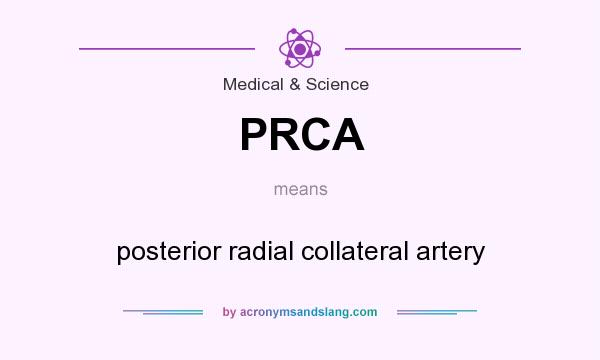 What does PRCA mean? It stands for posterior radial collateral artery