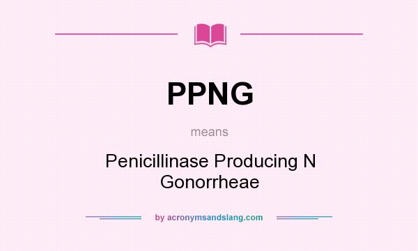 What does PPNG mean? It stands for Penicillinase Producing N Gonorrheae