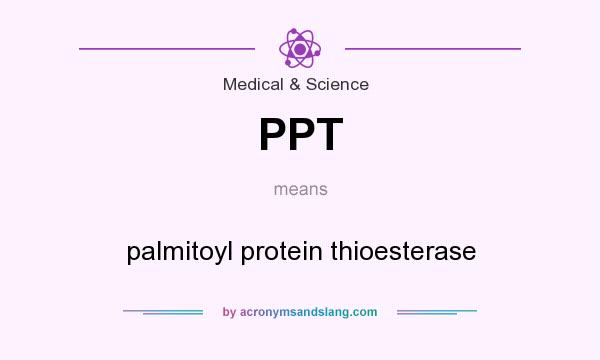 What does PPT mean? It stands for palmitoyl protein thioesterase