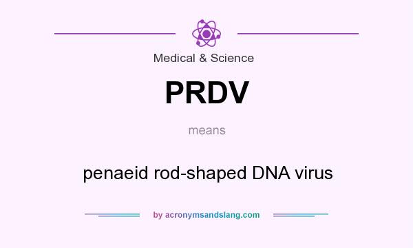 What does PRDV mean? It stands for penaeid rod-shaped DNA virus