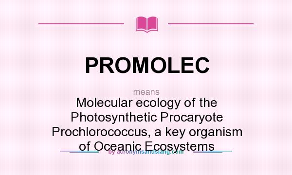 What does PROMOLEC mean? It stands for Molecular ecology of the Photosynthetic Procaryote Prochlorococcus, a key organism of Oceanic Ecosystems