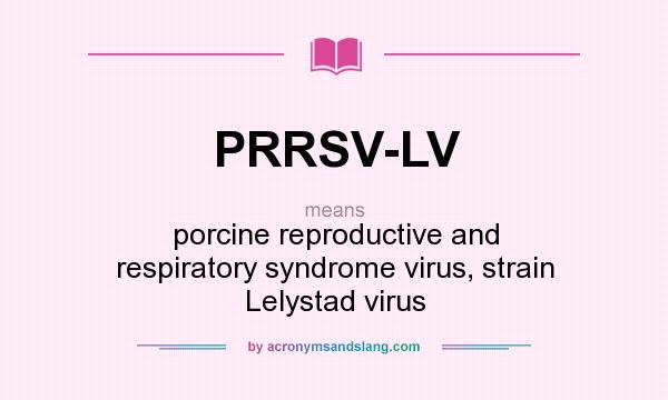 What does PRRSV-LV mean? It stands for porcine reproductive and respiratory syndrome virus, strain Lelystad virus