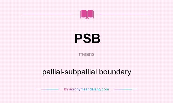 What does PSB mean? It stands for pallial-subpallial boundary