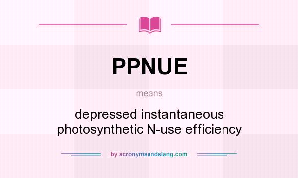 What does PPNUE mean? It stands for depressed instantaneous photosynthetic N-use efficiency