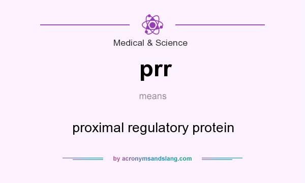 What does prr mean? It stands for proximal regulatory protein