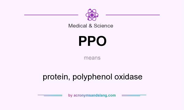 What does PPO mean? It stands for protein, polyphenol oxidase