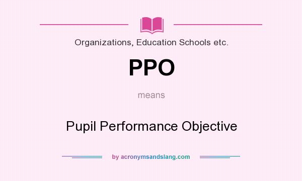What does PPO mean? It stands for Pupil Performance Objective
