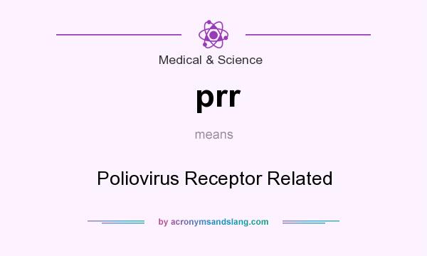 What does prr mean? It stands for Poliovirus Receptor Related