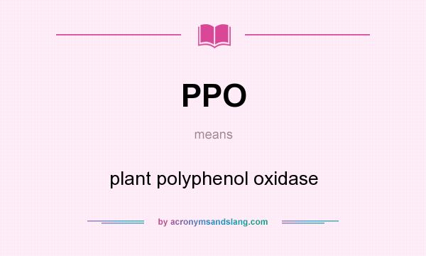 What does PPO mean? It stands for plant polyphenol oxidase