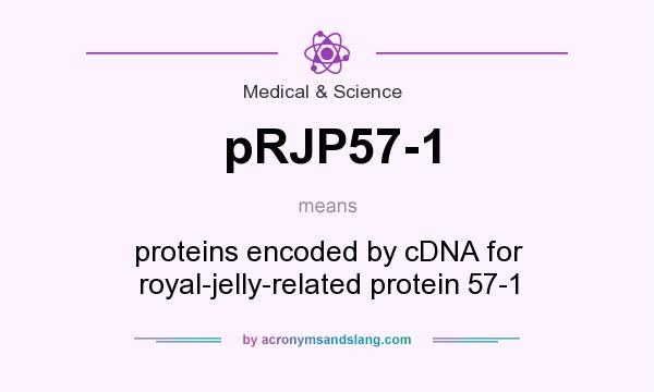 What does pRJP57-1 mean? It stands for proteins encoded by cDNA for royal-jelly-related protein 57-1