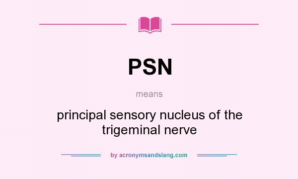 What does PSN mean? It stands for principal sensory nucleus of the trigeminal nerve