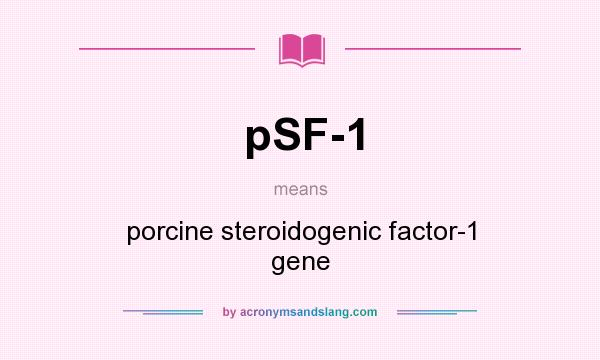 What does pSF-1 mean? It stands for porcine steroidogenic factor-1 gene