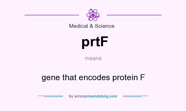 What does prtF mean? It stands for gene that encodes protein F