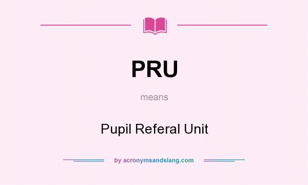 What does PRU mean? It stands for Pupil Referal Unit