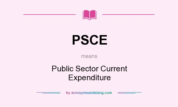 What does PSCE mean? It stands for Public Sector Current Expenditure