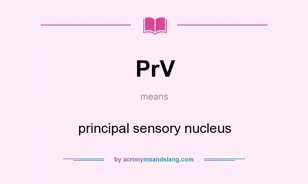What does PrV mean? It stands for principal sensory nucleus