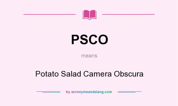 What does PSCO mean? It stands for Potato Salad Camera Obscura