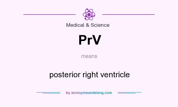 What does PrV mean? It stands for posterior right ventricle