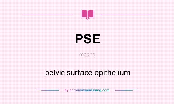 What does PSE mean? It stands for pelvic surface epithelium