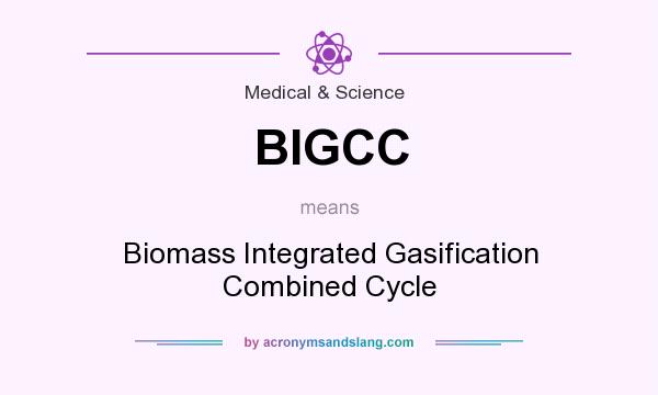What does BIGCC mean? It stands for Biomass Integrated Gasification Combined Cycle