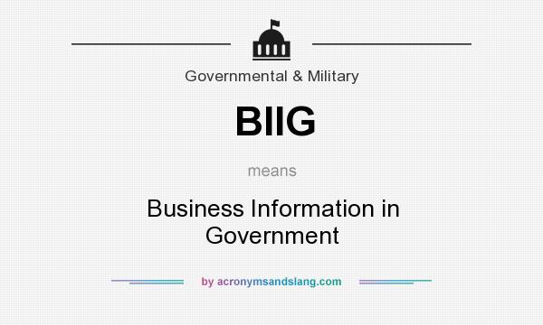 What does BIIG mean? It stands for Business Information in Government