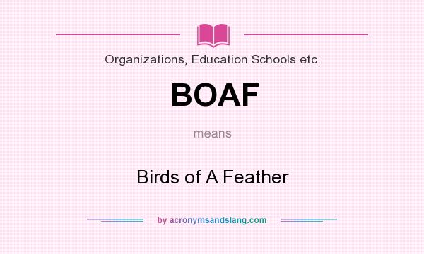 What does BOAF mean? It stands for Birds of A Feather