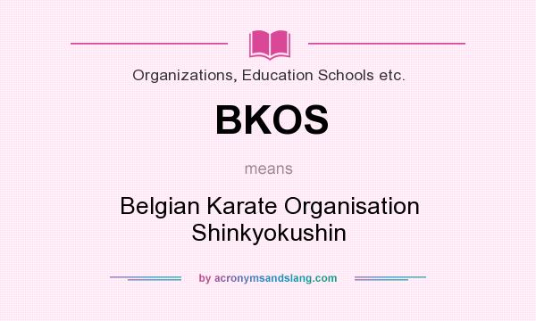 What does BKOS mean? It stands for Belgian Karate Organisation Shinkyokushin