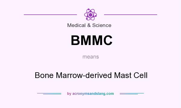 What does BMMC mean? It stands for Bone Marrow-derived Mast Cell