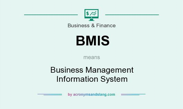 What does BMIS mean? It stands for Business Management Information System