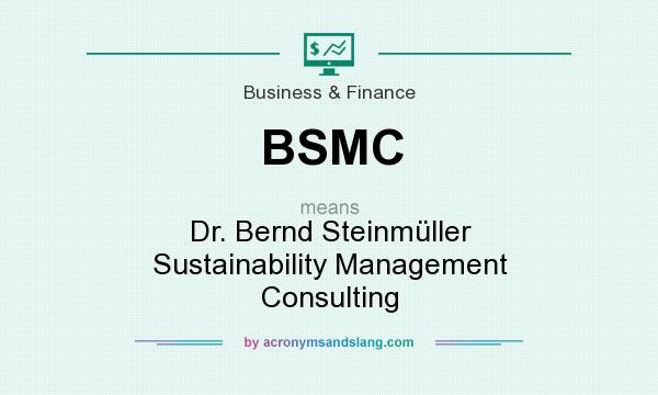 What does BSMC mean? It stands for Dr. Bernd Steinmüller Sustainability Management Consulting
