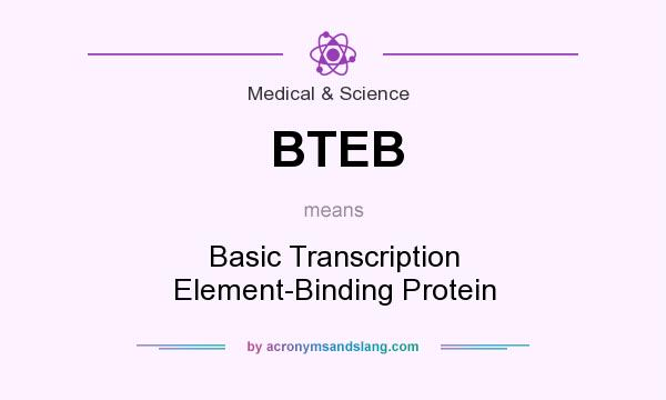 What does BTEB mean? It stands for Basic Transcription Element-Binding Protein