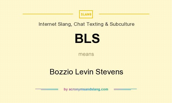 What does BLS mean? It stands for Bozzio Levin Stevens