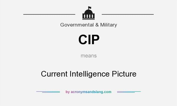 What does CIP mean? It stands for Current Intelligence Picture