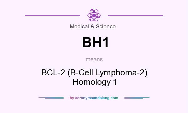What does BH1 mean? It stands for BCL-2 (B-Cell Lymphoma-2) Homology 1