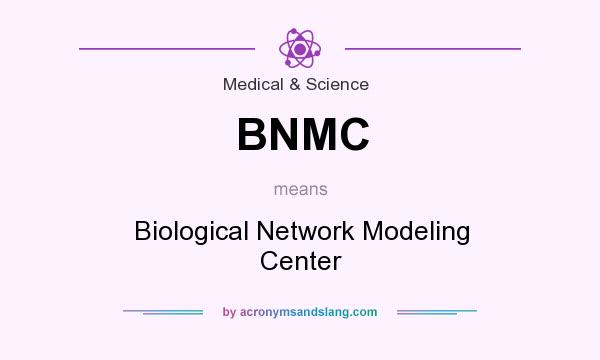 What does BNMC mean? It stands for Biological Network Modeling Center