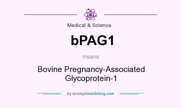 What does bPAG1 mean? It stands for Bovine Pregnancy-Associated Glycoprotein-1