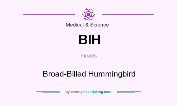 What does BIH mean? It stands for Broad-Billed Hummingbird