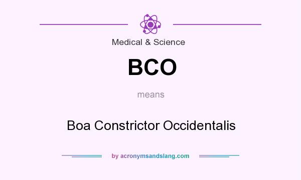 What does BCO mean? It stands for Boa Constrictor Occidentalis