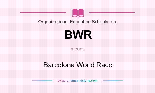 What does BWR mean? It stands for Barcelona World Race