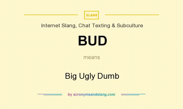 What does BUD mean? It stands for Big Ugly Dumb