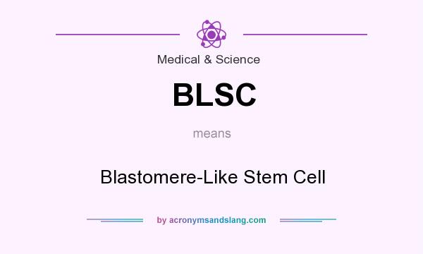 What does BLSC mean? It stands for Blastomere-Like Stem Cell