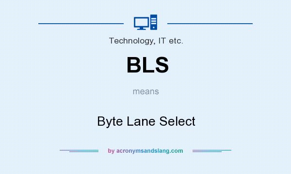 What does BLS mean? It stands for Byte Lane Select