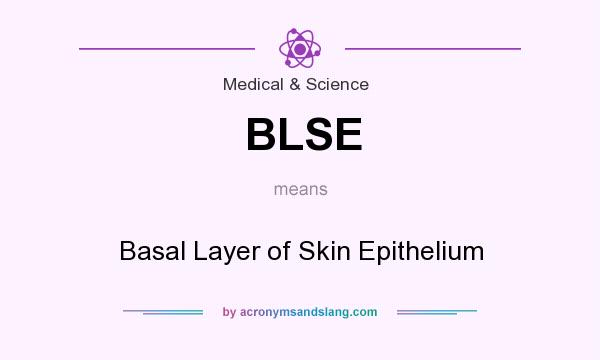 What does BLSE mean? It stands for Basal Layer of Skin Epithelium