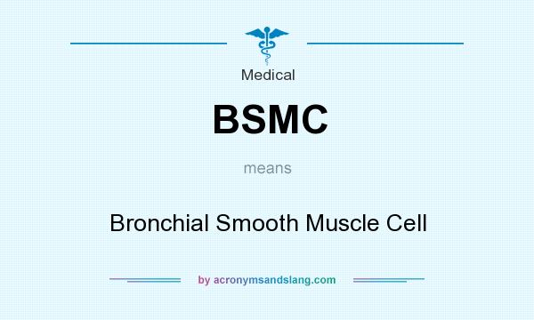 What does BSMC mean? It stands for Bronchial Smooth Muscle Cell