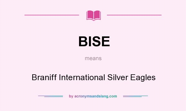 What does BISE mean? It stands for Braniff International Silver Eagles