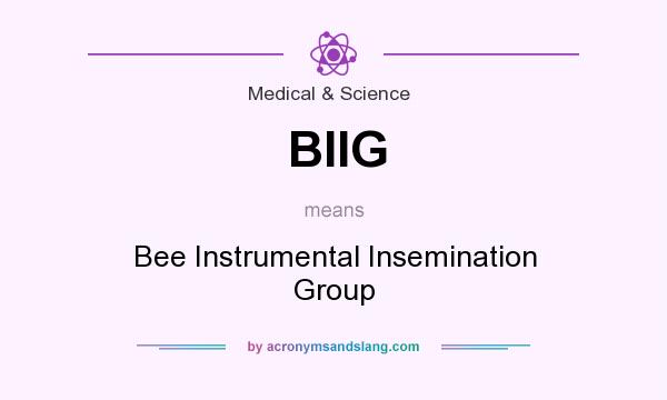 What does BIIG mean? It stands for Bee Instrumental Insemination Group