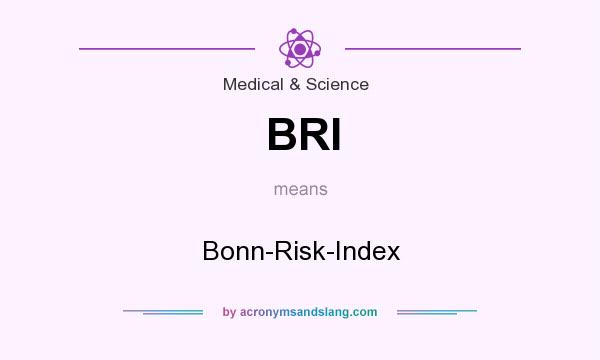 What does BRI mean? It stands for Bonn-Risk-Index