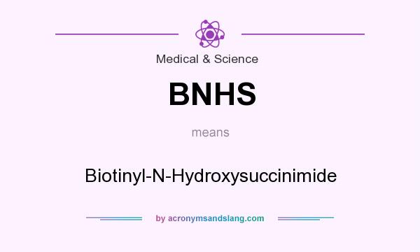 What does BNHS mean? It stands for Biotinyl-N-Hydroxysuccinimide