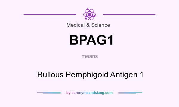 What does BPAG1 mean? It stands for Bullous Pemphigoid Antigen 1